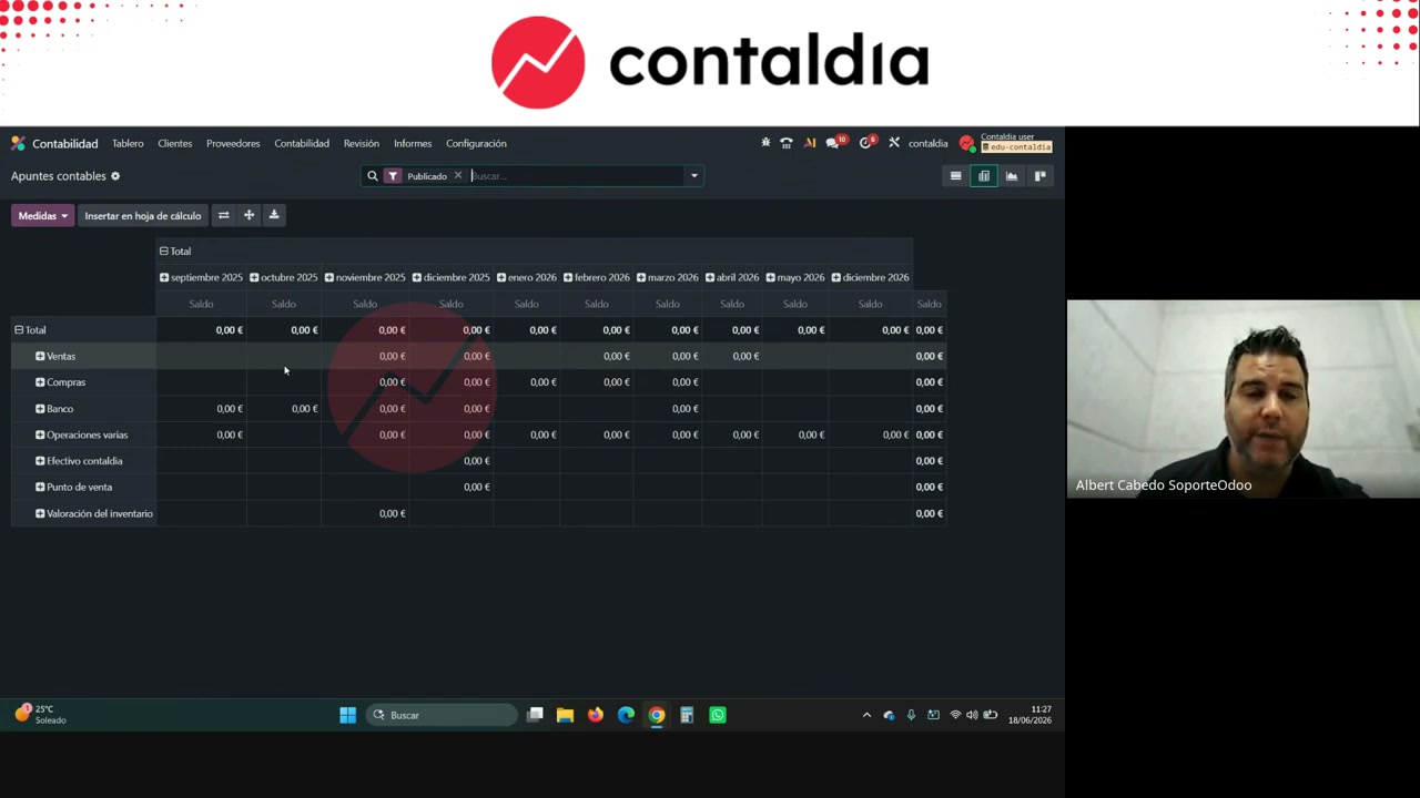 Apuntes contables en vista pivote